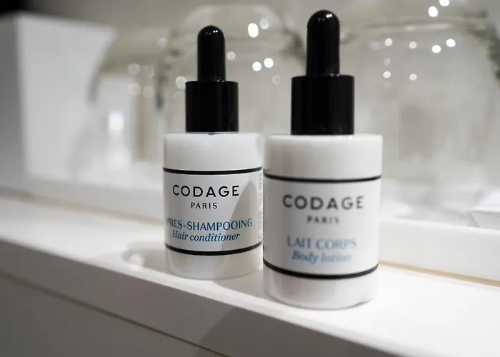 Ekta Champs Elysees Hotel Paris